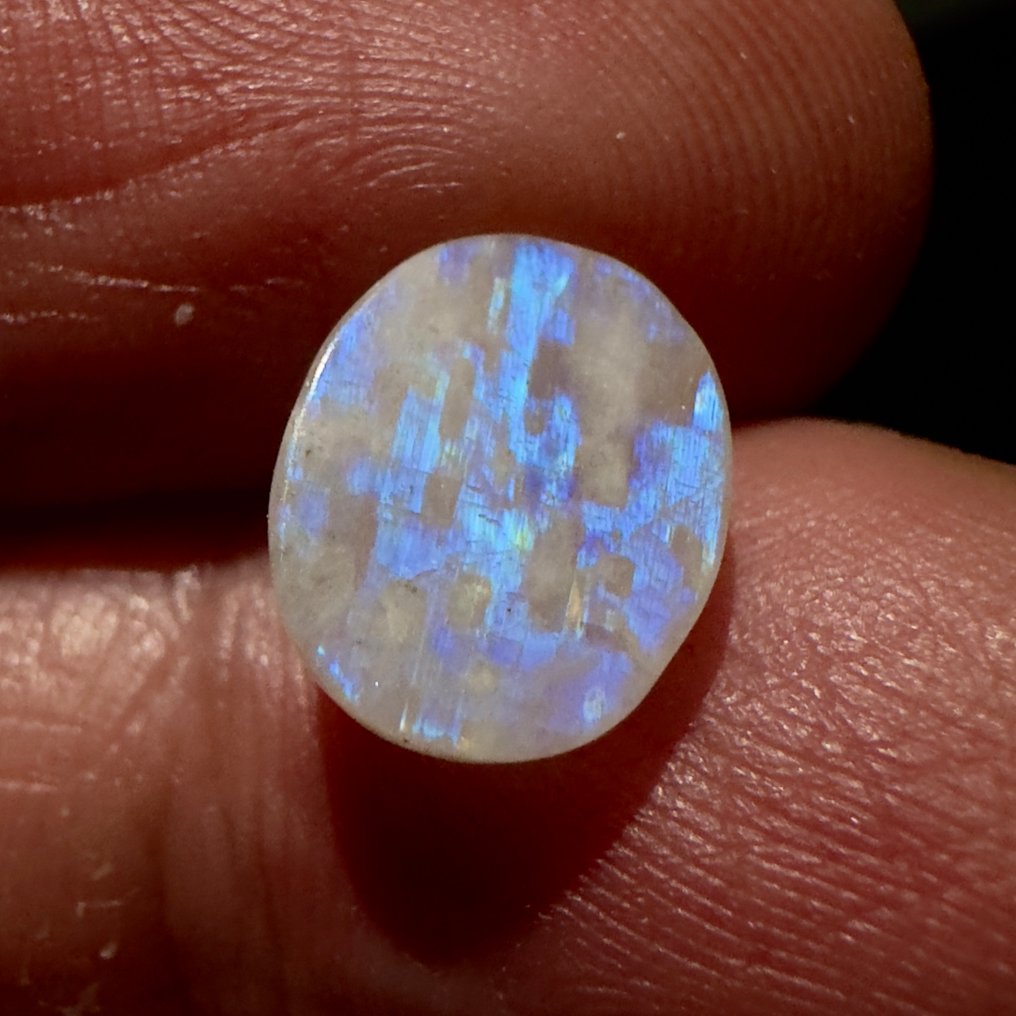 Sin precio de reserva - 4 pcs  Piedra luna (adularia)  - 13.01 ct - Sin informe de laboratorio #3.2