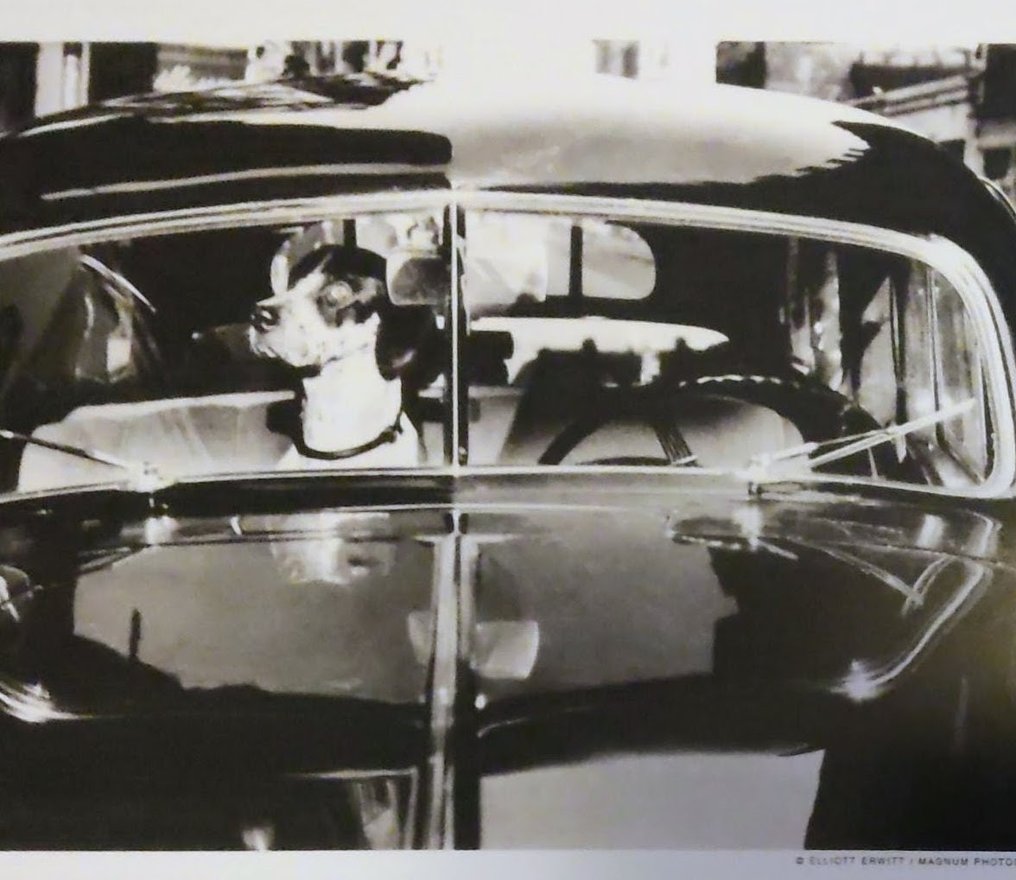 Elliott Erwitt (1928–2018) - Paris, France, 1951 #1.0