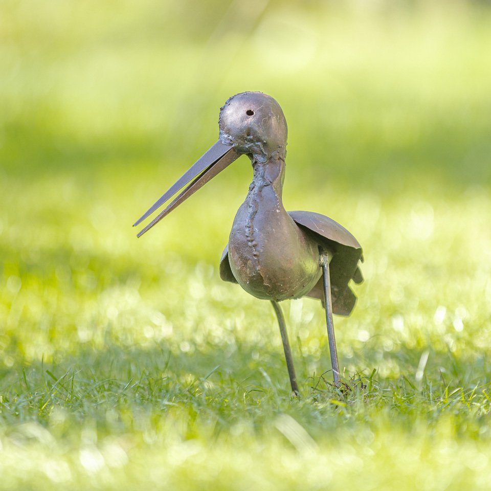 户外雕塑, Twee scholeksters - 300 mm - 金属 - 2022 #3.2