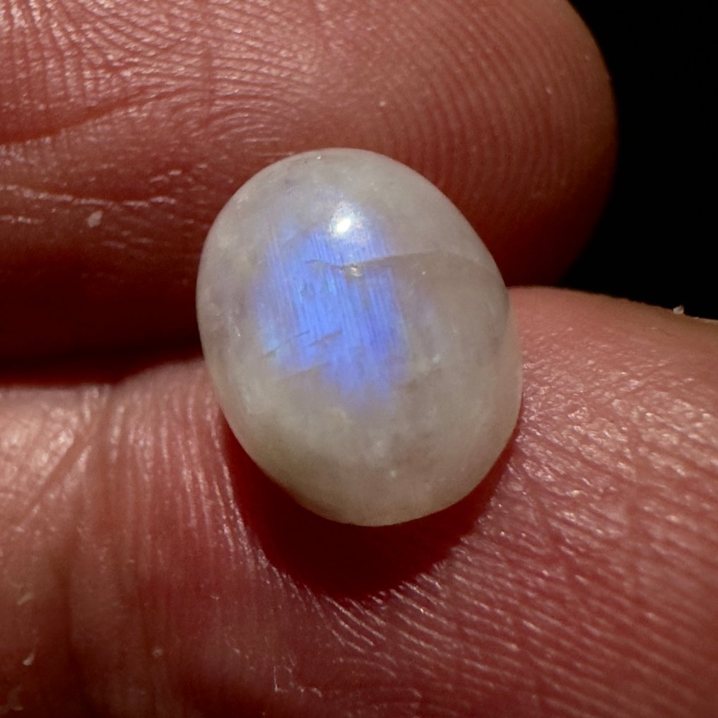 Sin precio de reserva - 4 pcs  Piedra luna (adularia)  - 13.01 ct - Sin informe de laboratorio #2.1
