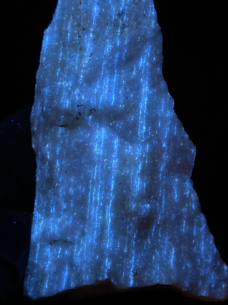 Zeer heldere 'sterrenachtige nacht' scheelite. Fluorescerende - Hoogte: 8.5 cm - Breedte: 5 cm- 67 g #1.0