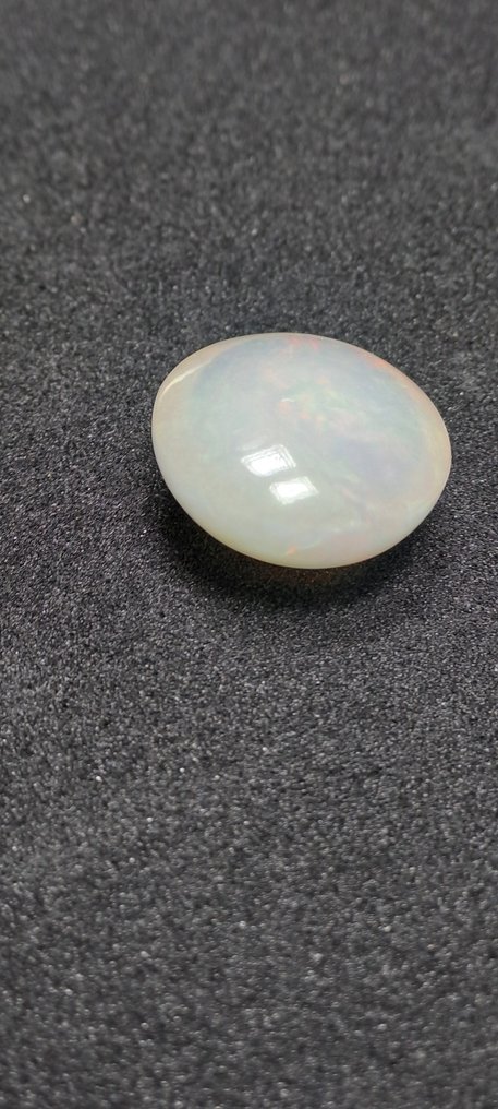 1 pcs  白色, 多色 蛋白石  - 24.83 ct - 安特卫普宝石检测实验室（ALGT） #1.0