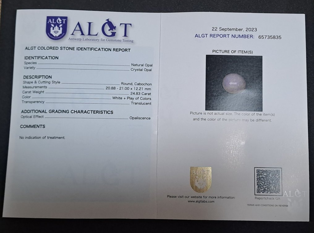 1 pcs  白色, 多色 蛋白石  - 24.83 ct - 安特卫普宝石检测实验室（ALGT） #4.3