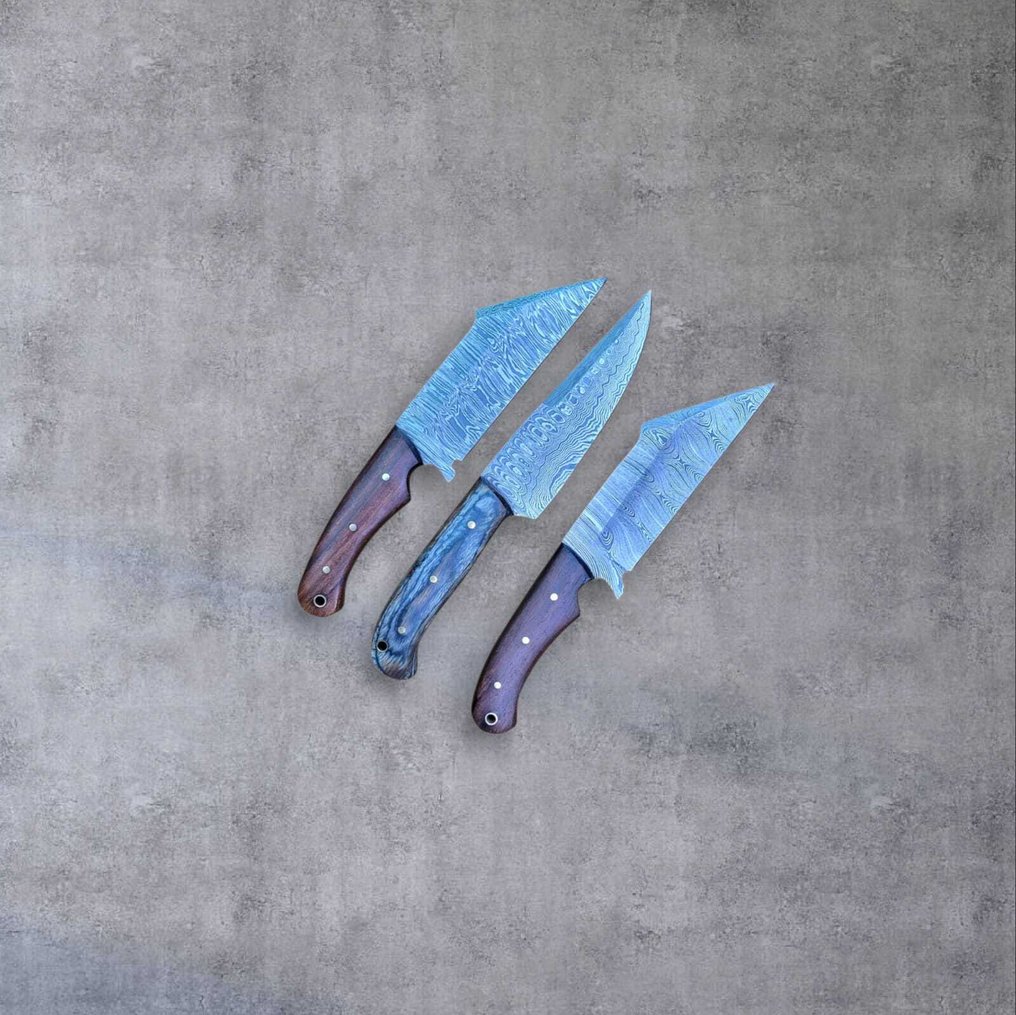 Μαχαίρι κουζίνας - Kitchen knife set -  Χειροποίητο μαχαίρι κουζίνας - Χάλυβας, Ξύλο - Ηνωμένο Βασίλειο - Με δερμάτινη θήκη. #1.0