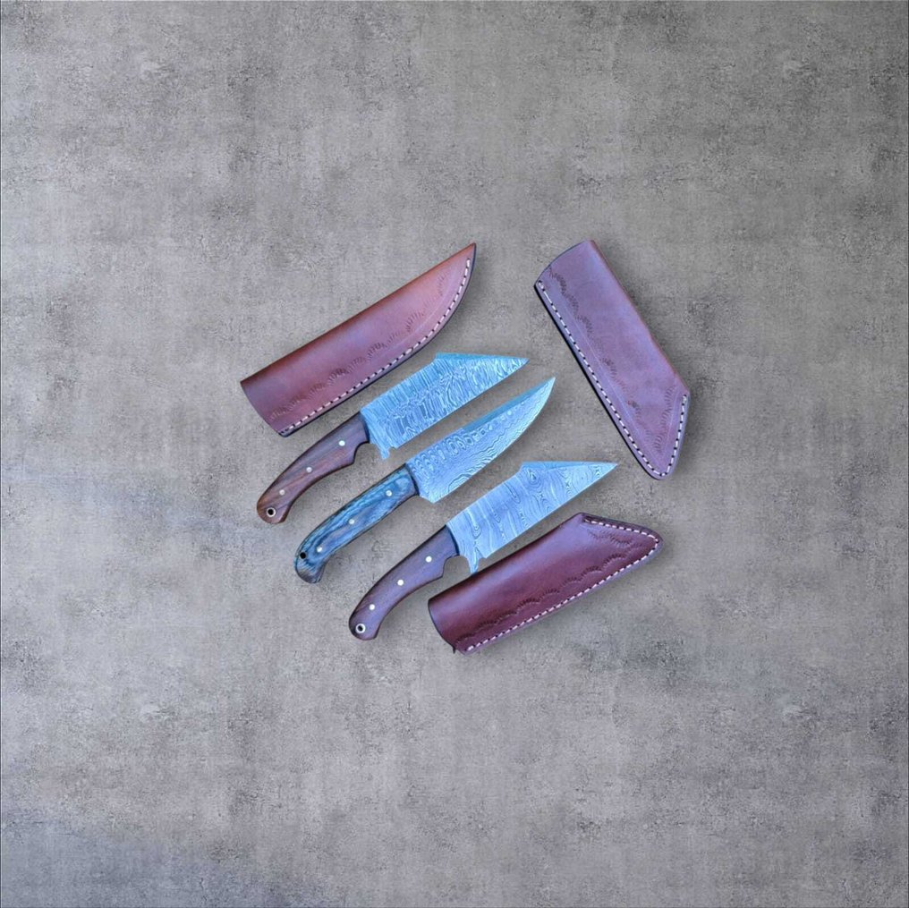 Μαχαίρι κουζίνας - Kitchen knife set -  Χειροποίητο μαχαίρι κουζίνας - Χάλυβας, Ξύλο - Ηνωμένο Βασίλειο - Με δερμάτινη θήκη. #4.3