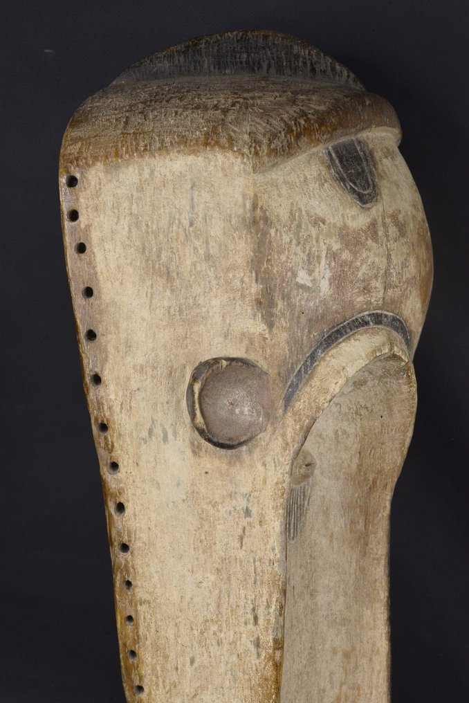 Ngil - Agyar - Gabon #4.3