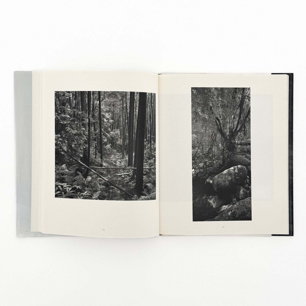 Naoya Hatakeyama - Two Mountains, Naoya Hatakeyama, Balthasar Burkhard - 2008 #1.0