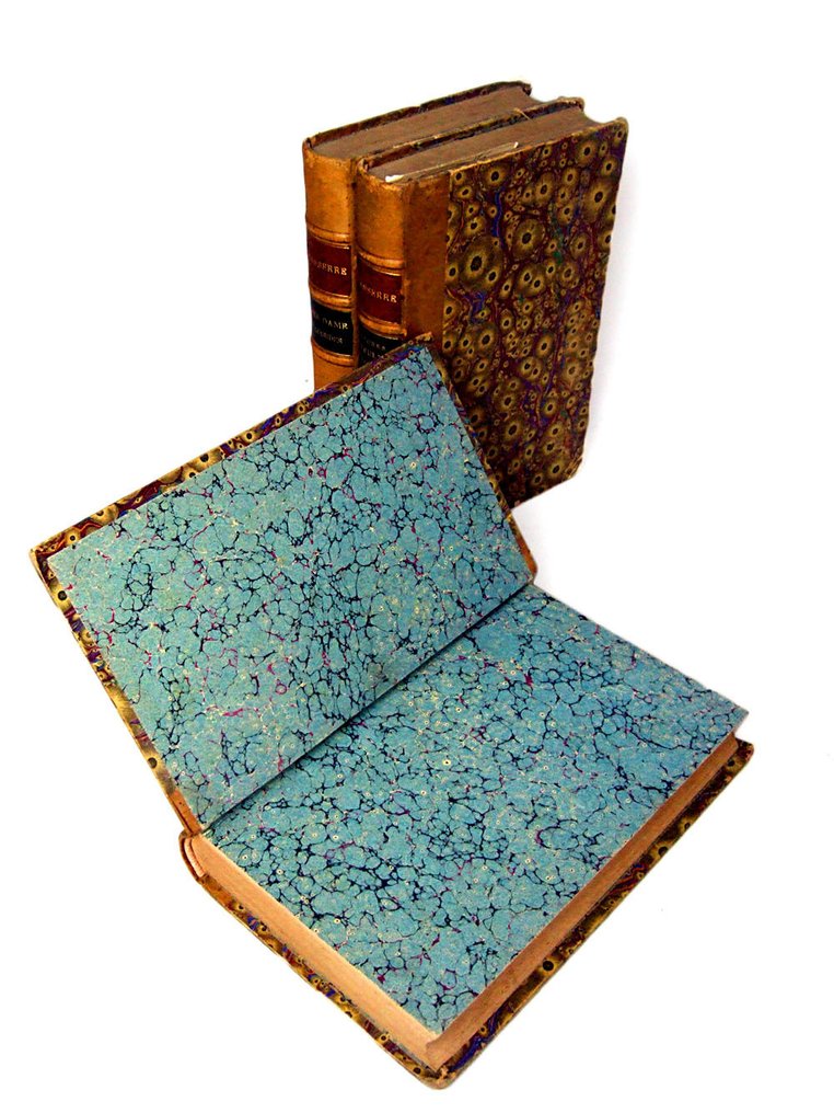 Henri Lasserre - Bernadette / Les épisodes miraculeux de Lourdes / Notre-Dame de Lourdes - 1892 #1.0