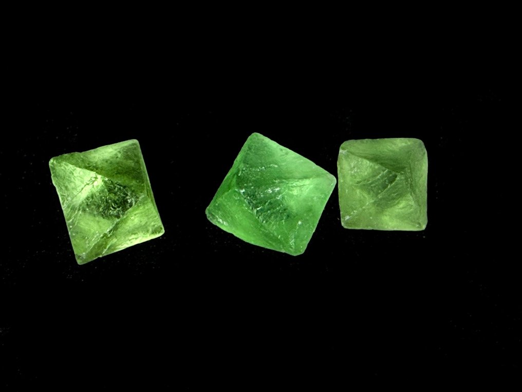 一套三件天然鲜亮的石灰绿色萤石 八面体 | 99 克拉- 19.8 g - (3) #1.0