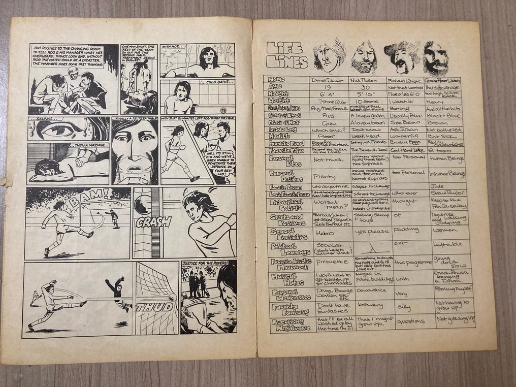 Pink Floyd - Das Tourprogramm der Dark Side of the Moon Tour (Comic-Stil Erste Ausgabe) - 1974 #2.1