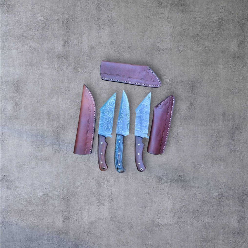 Μαχαίρι κουζίνας - Kitchen knife set -  Χειροποίητο μαχαίρι κουζίνας - Χάλυβας, Ξύλο - Ηνωμένο Βασίλειο - Με δερμάτινη θήκη. #2.1