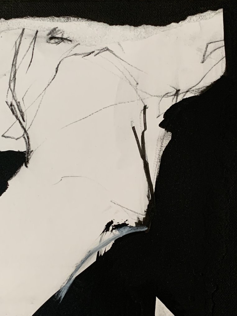 Laurent Anastay Ponsolle - Désir Noir, comme la Nuit #2.1