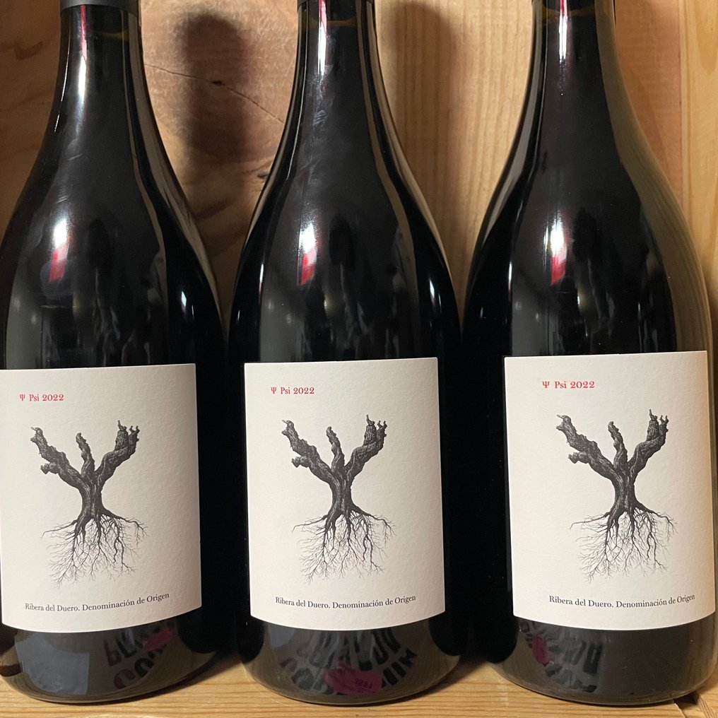 2022 Dominio de Pingus, 'Psi' - Ribera del Duero - 3 Bottles (0.75L) #1.0
