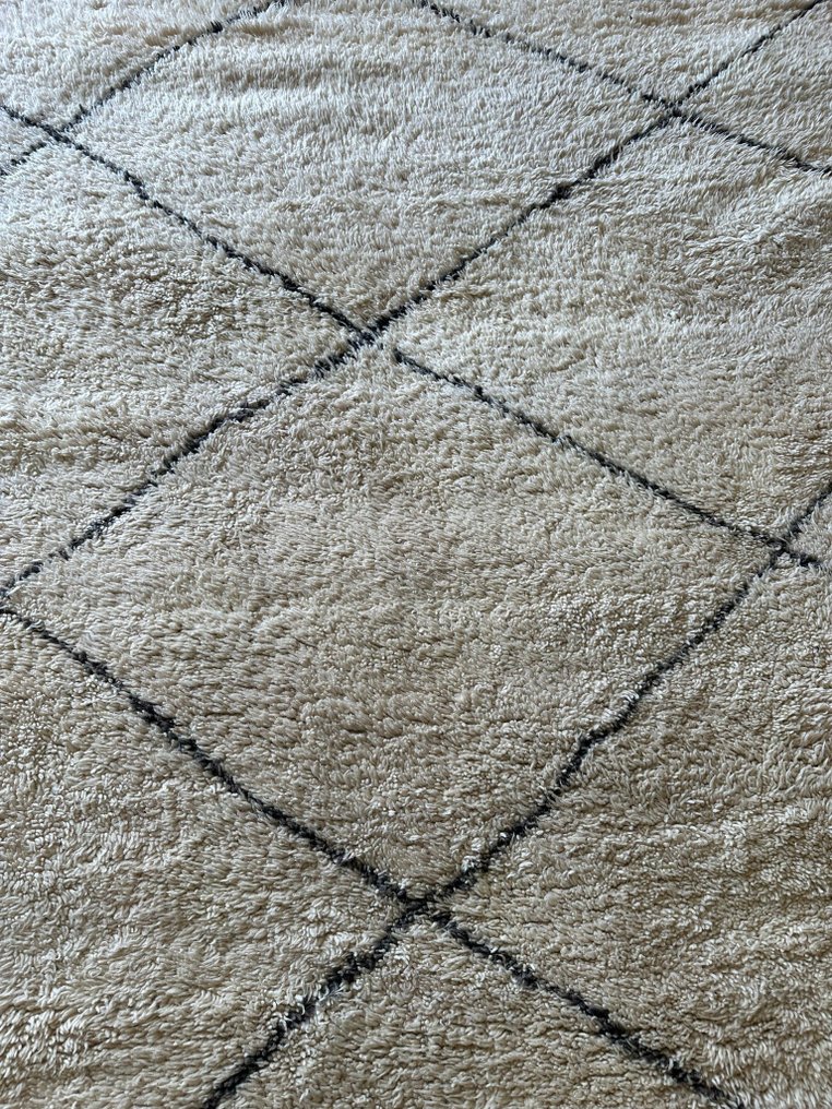 Carpet - 320 cm - 220 cm #1.0