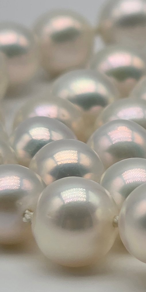 Zonder minimumprijs - Halsketting - 18 karaat Geel goud Parel - Akoya parels van 7 tot 7,2 #4.3