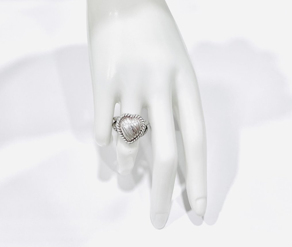 Sin precio de reserva - Anillo Plata #2.1