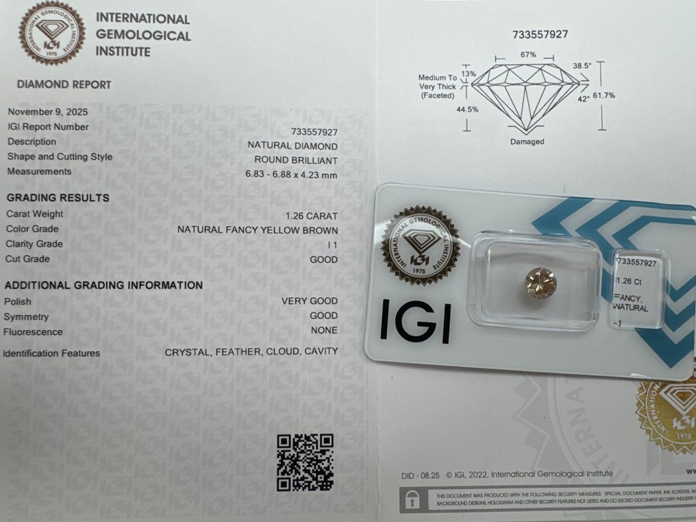 没有保留价 - 1 pcs 钻石  (天然色彩的)  - 1.26 ct - 圆形 - Fancy 黄色, 棕色 - I1 内含一级 - 国际宝石研究院（IGI） #1.0