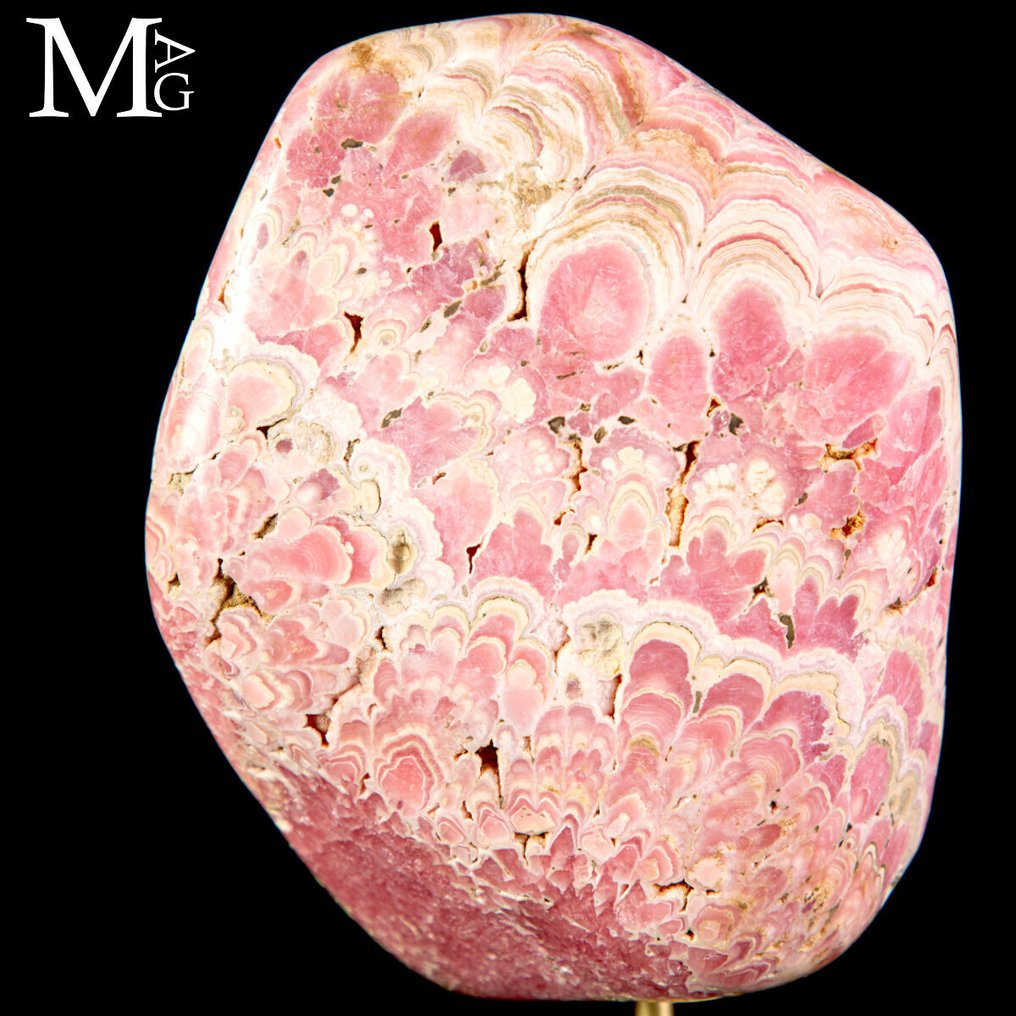 Ekstraordinært Rhodochrosite-eksemplar - topkvalitets mineral på træ- og messingkunstnerisk base - Højde: 194 mm - Bredde: 80 mm- 1766 g #4.3