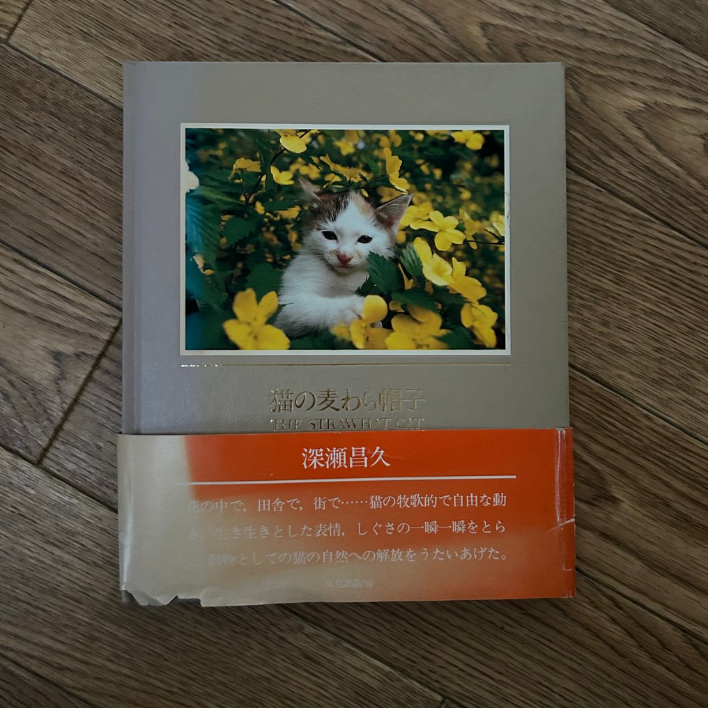 Masahisa Fukase - The Strawhat Cat - 1979 #1.0