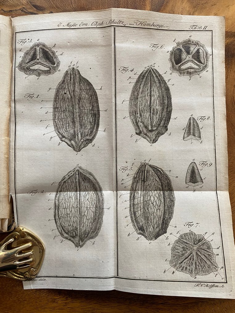 Carl von Linné, Paulus Dietrich Giseke - Praelectiones in ordines naturales plantarum - 1792 #3.2