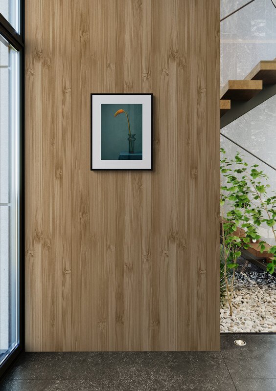 Tessa Posthuma de Boer - Torch #1.0