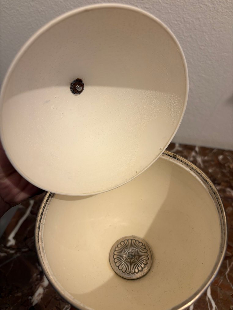 鴕鳥 蛋 - uovo di struzzo - 29 cm - 13 cm - 11 cm -  (1) #4.3