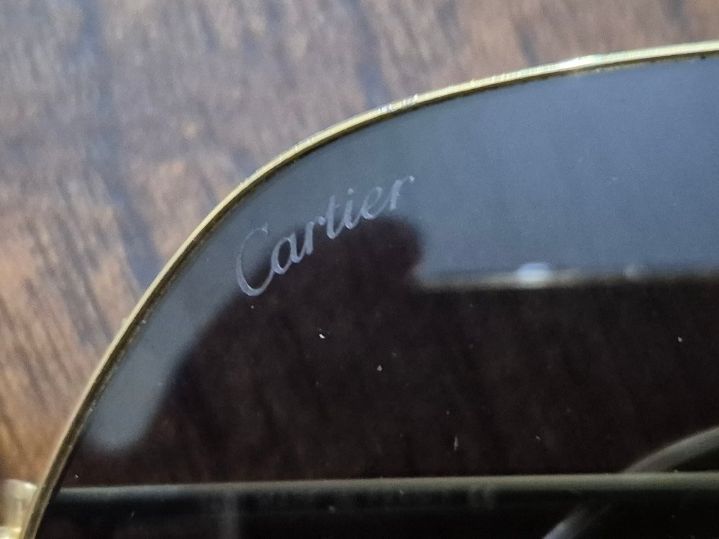 Cartier - CT0110S - 太阳镜 #4.3