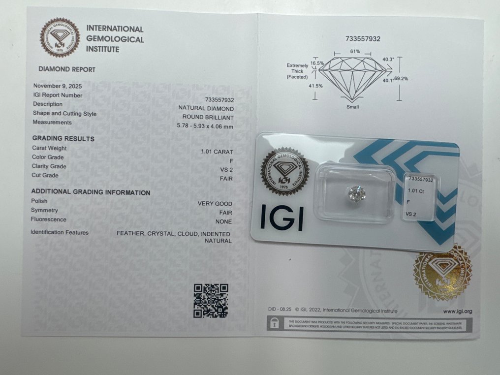 没有保留价 - 1 pcs 钻石  (天然)  - 1.01 ct - 圆形 - F - VS2 轻微内含二级 - 国际宝石研究院（IGI） #1.0