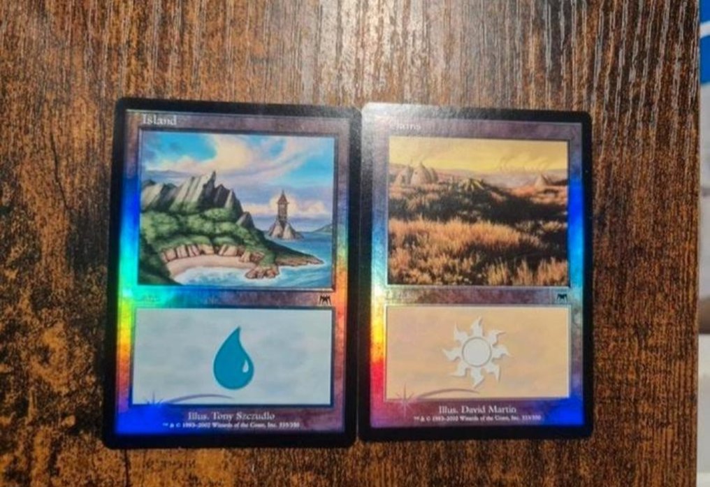 Wizards of The Coast - 1270 Mixed collection - Magic: The Gathering #4.3