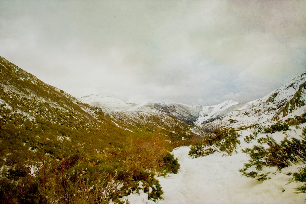 Viet Ha Tran - Palencia Mountains - XL #1.0