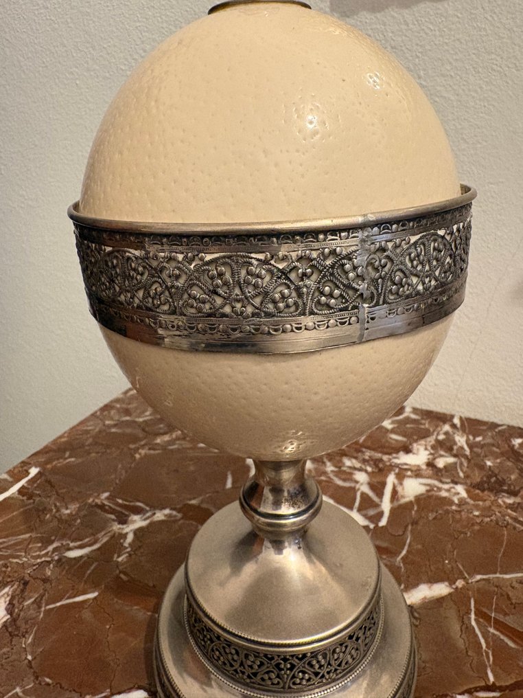 鴕鳥 蛋 - uovo di struzzo - 29 cm - 13 cm - 11 cm -  (1) #1.0