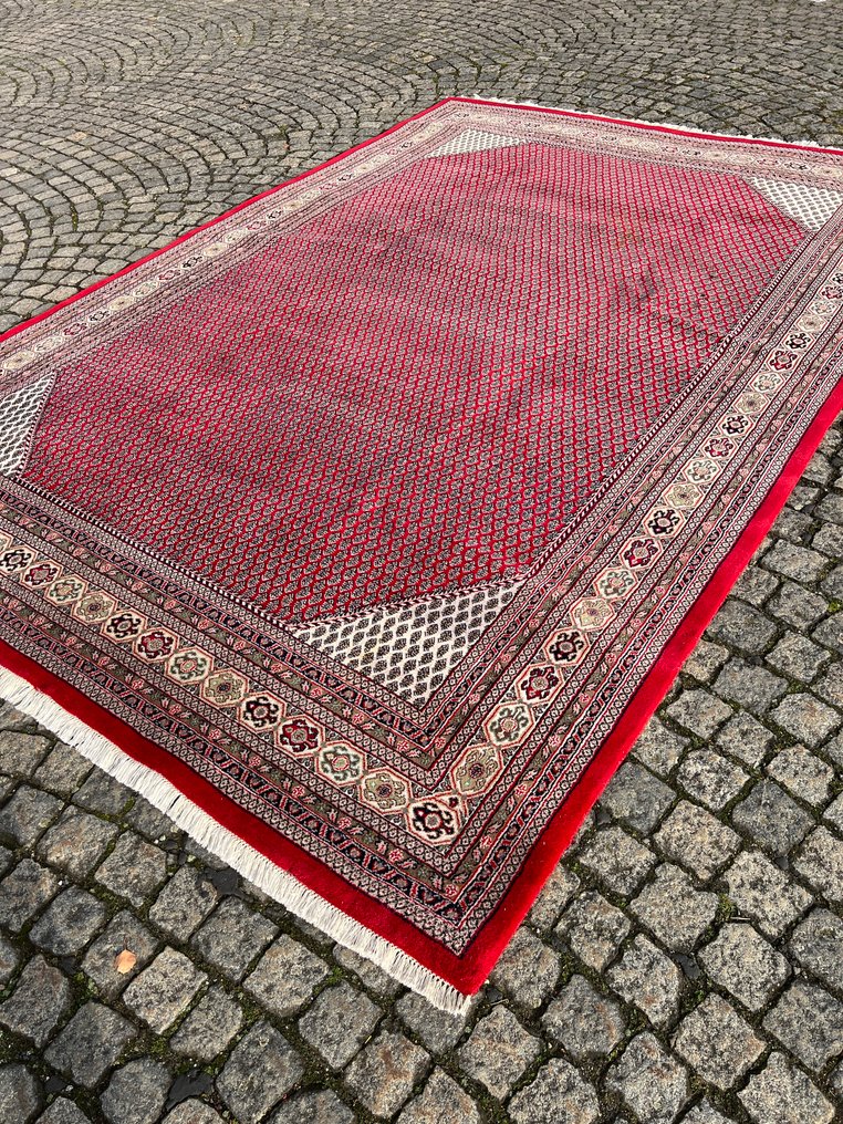 Mir - Dywan - 350 cm - 243 cm #1.0