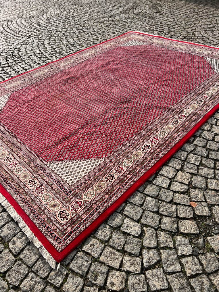 Mir - Dywan - 350 cm - 243 cm #2.1