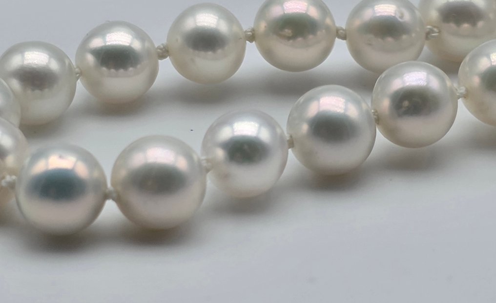 Zonder minimumprijs - Halsketting - 18 karaat Geel goud Parel - Akoya parels van 7 tot 7,2 #2.1