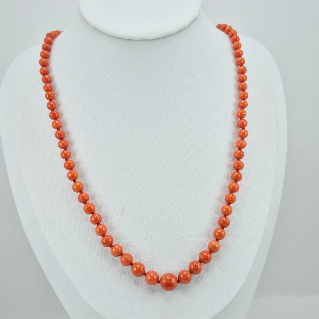 Bloedkoraal - Zilver, Verguld - Halsketting - CORALLO MEDITERRANEO #1.0