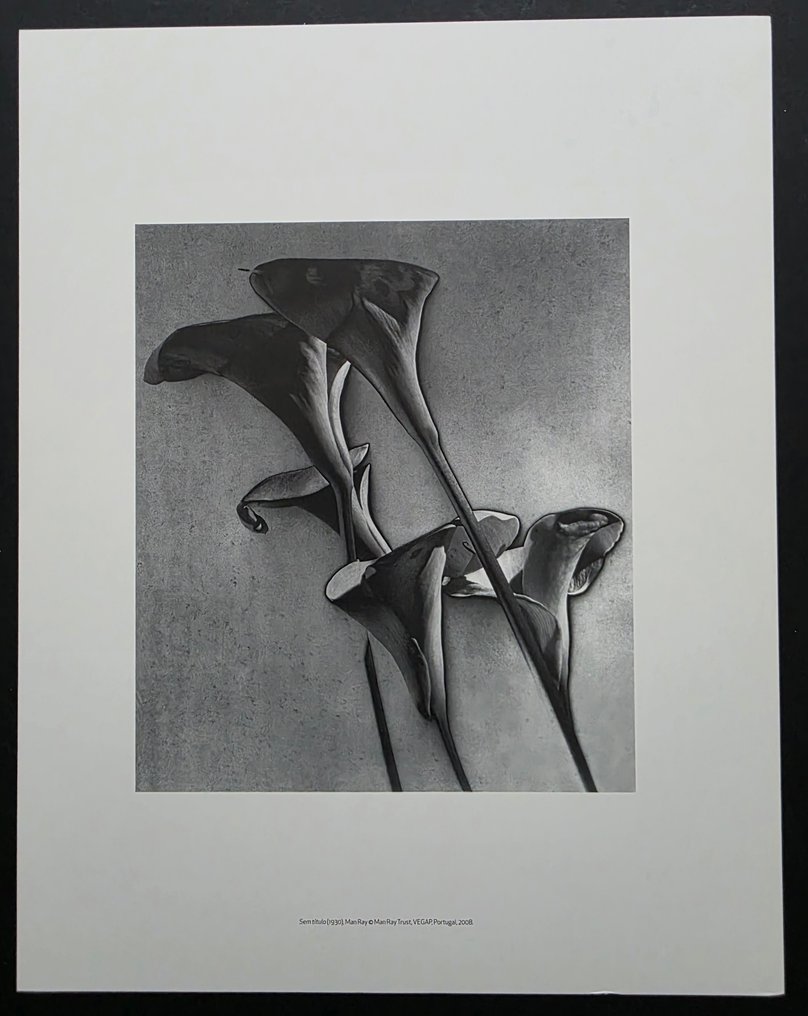 Man Ray (1890–1976) - Noire et Blanche, Violon d’Ingres, les Fleurs, le Baiser et Larmes. #3.2