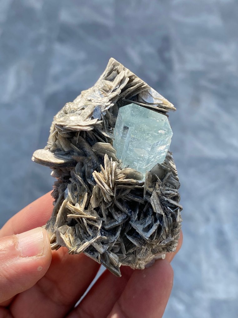 Specimen - Height: 70 mm - Width: 40 mm- 140 g #1.0