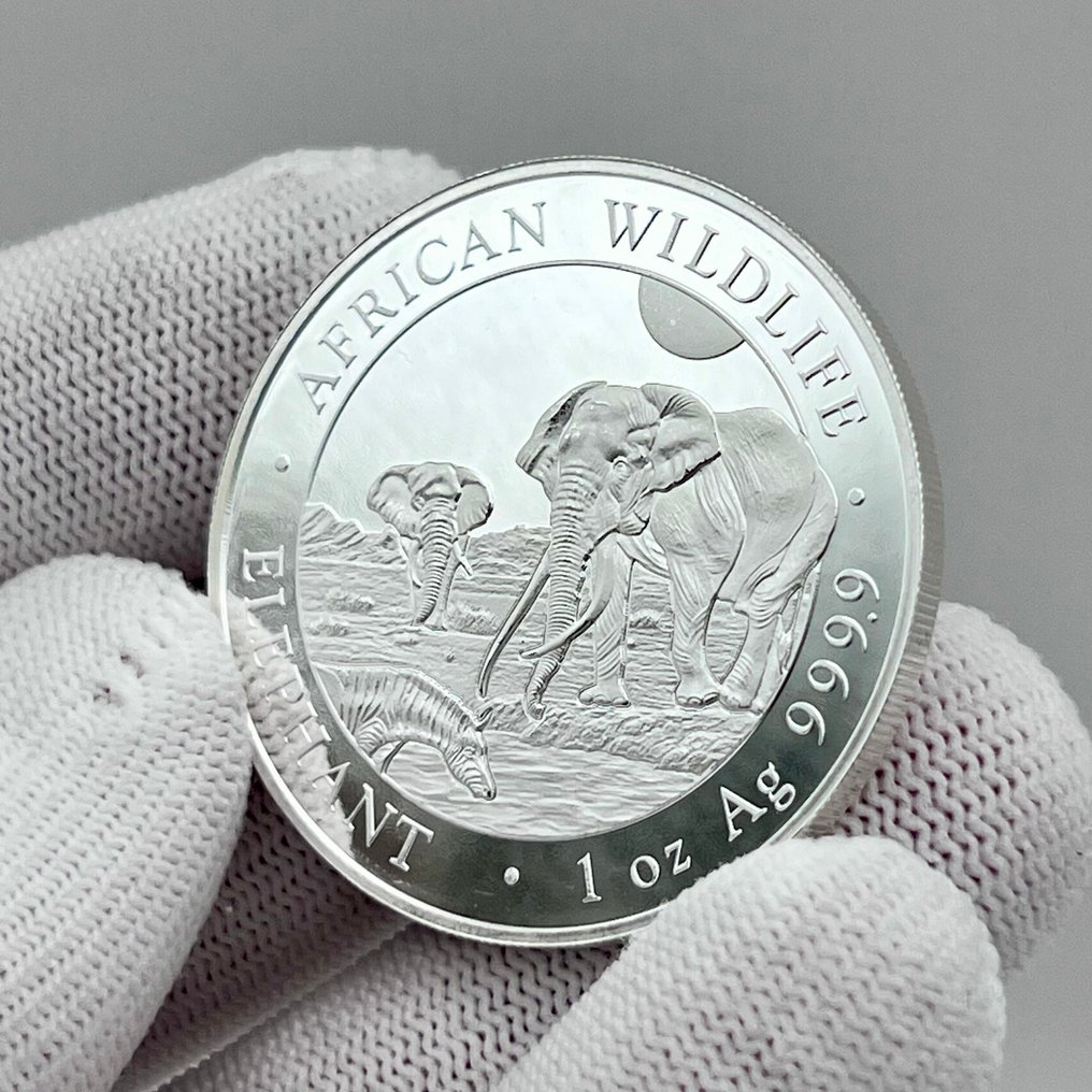 Somalia. 100 Shilling 2026 – African Wildlife Series – Elephant – 1 oz Silver Coin – .9999 Fine Silver (Ingen mindstepris) #3.2