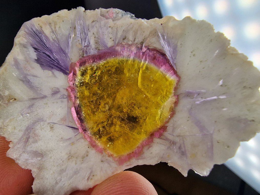 Tourmaline Liddicoatite Top - Height: 62 mm - Width: 47 mm- 13.3 g - (1) #4.3