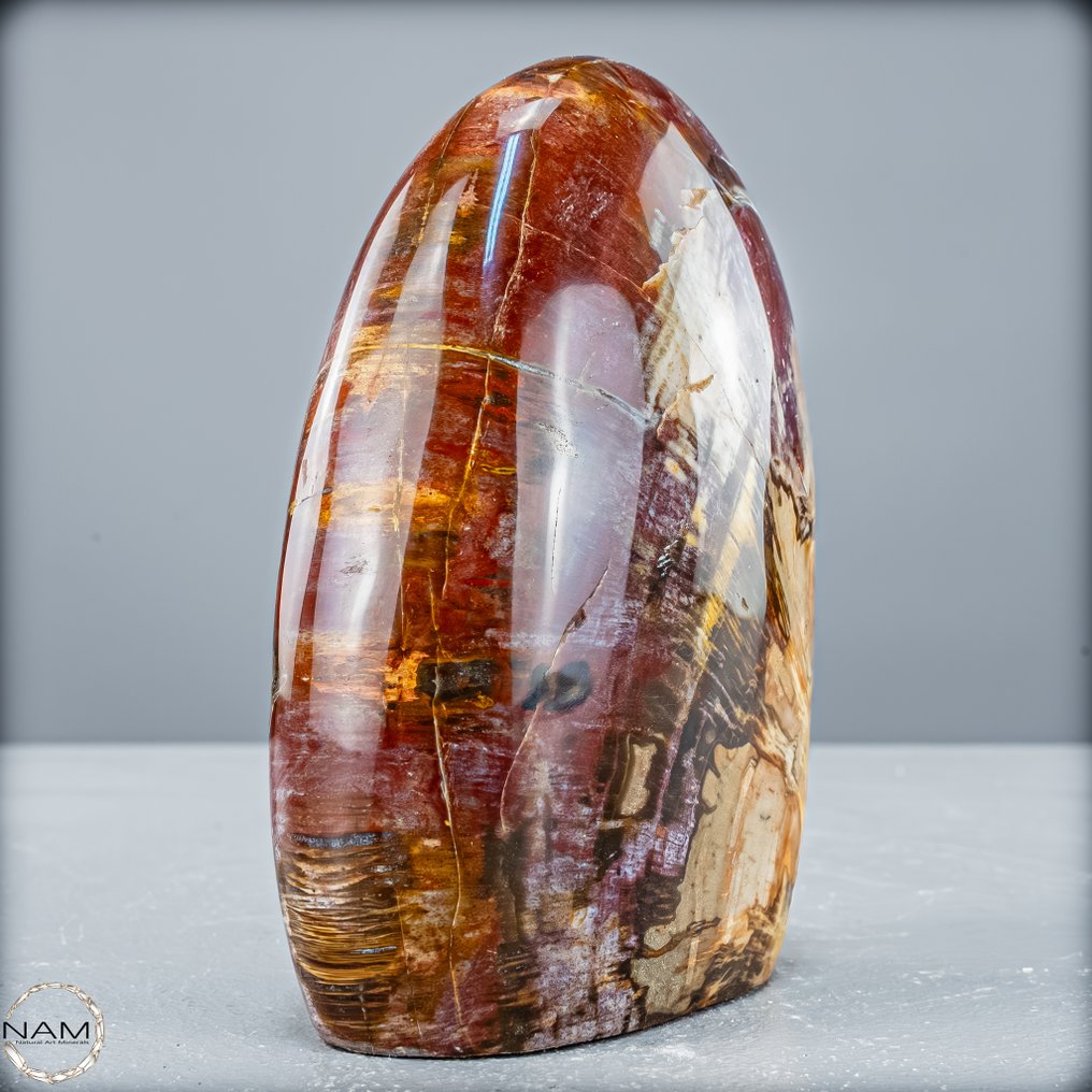 琥珀木的自由形式 手工打磨的- 728.25 g #4.3