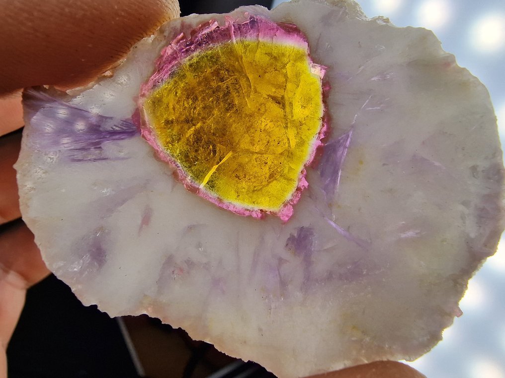 Τουρμαλίνης Liddicoatite κορυφή - Ύψος: 66 mm - Πλάτος: 51 mm- 19.6 g - (1) #4.3