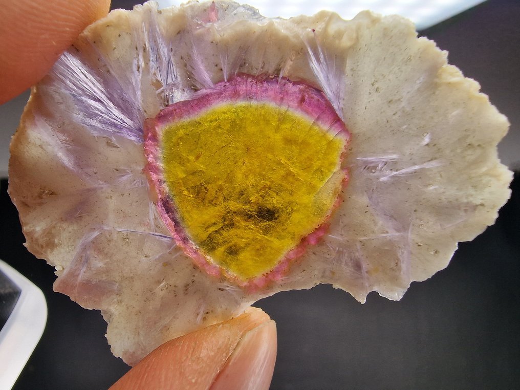 Tourmaline Liddicoatite Top - Height: 62 mm - Width: 47 mm- 13.3 g - (1) #1.0