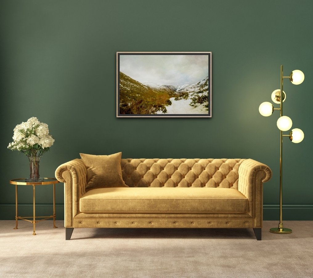 Viet Ha Tran - Palencia Mountains - XL #2.1