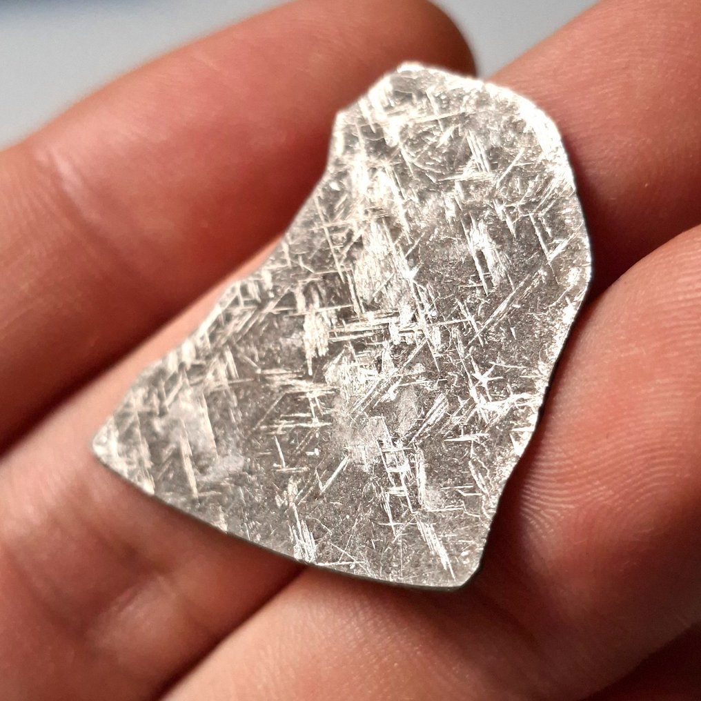 Μετεωρίτης Taza. Σπάνια προσφερόμενο σίδερο. Φέτα σε κουτί συλλογής. - 4.8 g #3.2