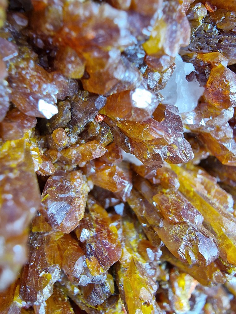 Realgar Con Auripigment, dimensione Museo XXXXl. - Altezza: 390 mm - Larghezza: 230 mm- 8050 g - (1) #3.2