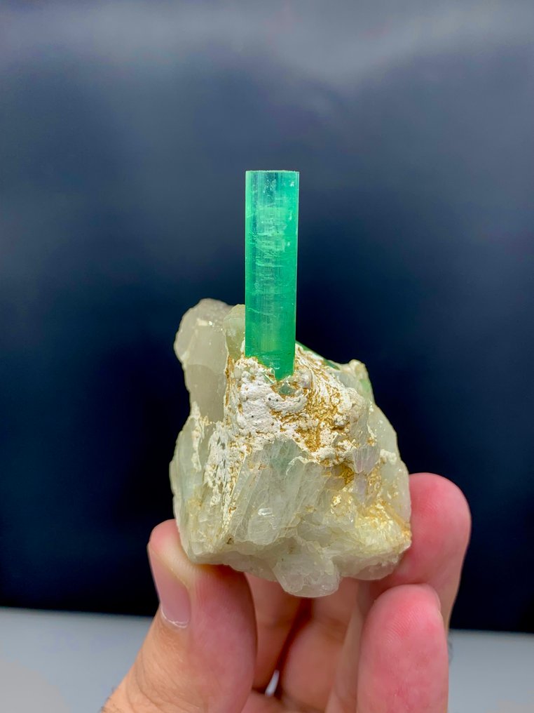 Tourmaline Specimen - Height: 7 cm - Width: 5.5 cm- 88 g - (1) #3.2