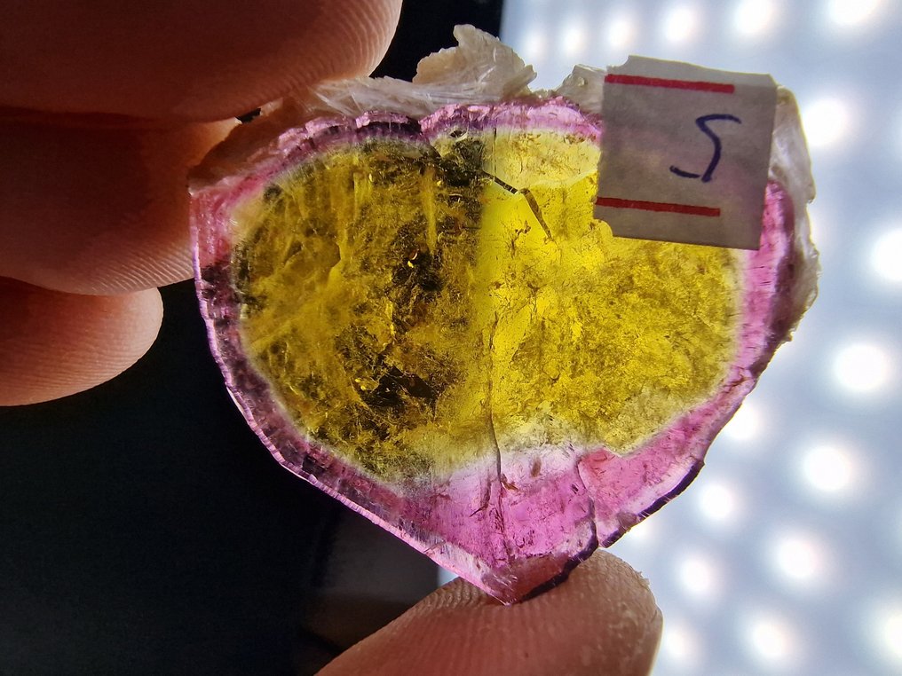 Τουρμαλίνης Liddicoatite κορυφή - Ύψος: 41 mm - Πλάτος: 38 mm- 9.7 g - (1) #1.0