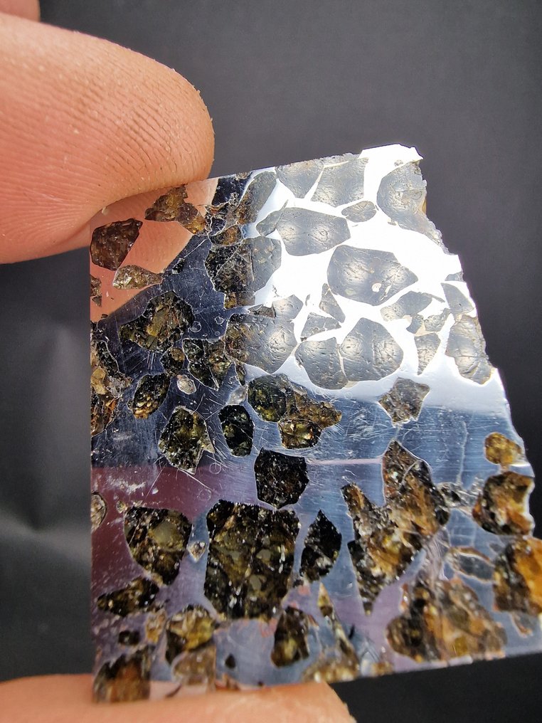 赛姆臣陨石 切片 - 高度: 40 mm - 宽度: 30 mm- 10.8 g - (1) #4.3