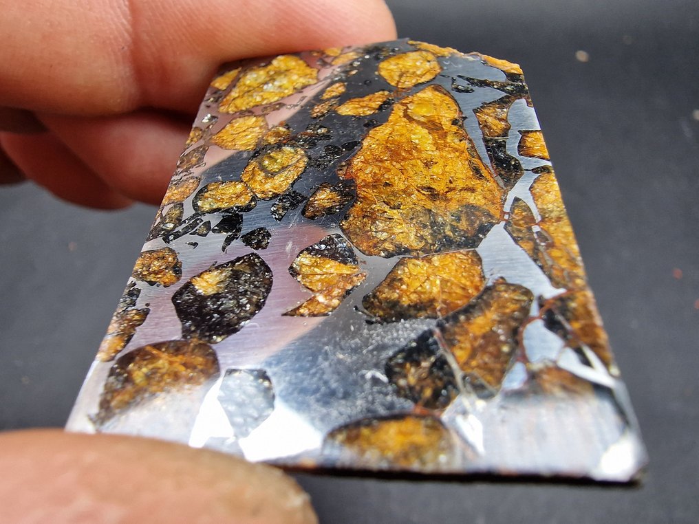 Seymchan meteorite Slice - Height: 42 mm - Width: 30 mm- 13.8 g - (1) #3.2