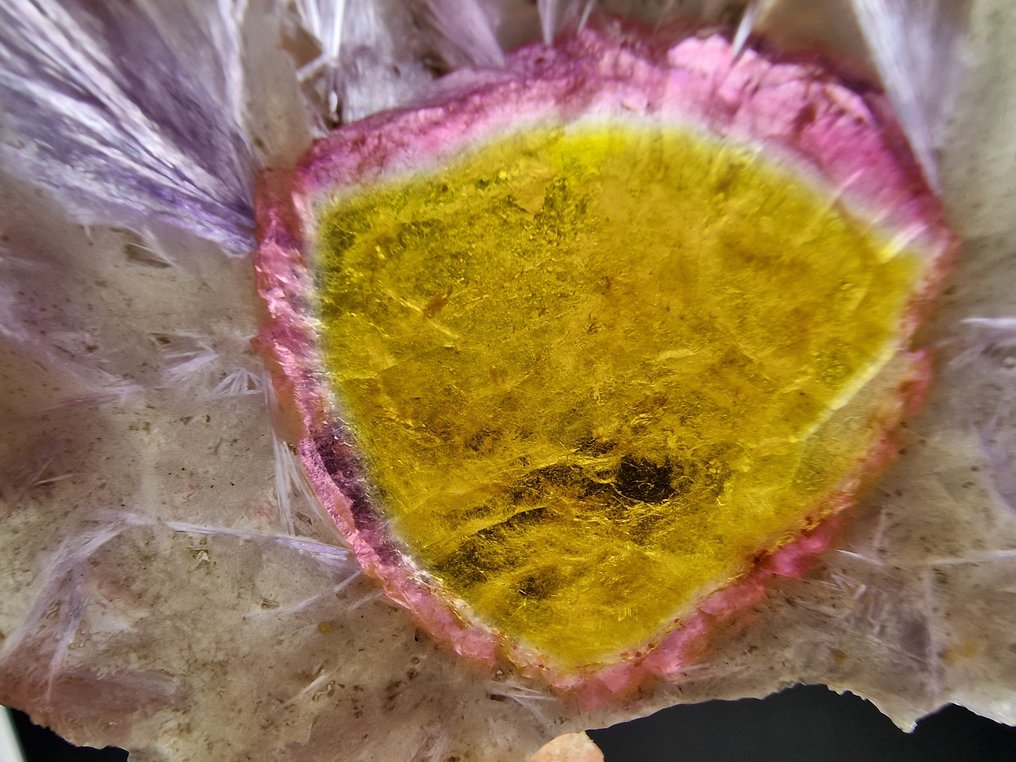 Tourmaline Liddicoatite Top - Height: 62 mm - Width: 47 mm- 13.3 g - (1) #3.2